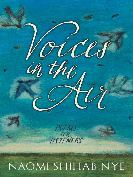 Cover image for Voices in the Air